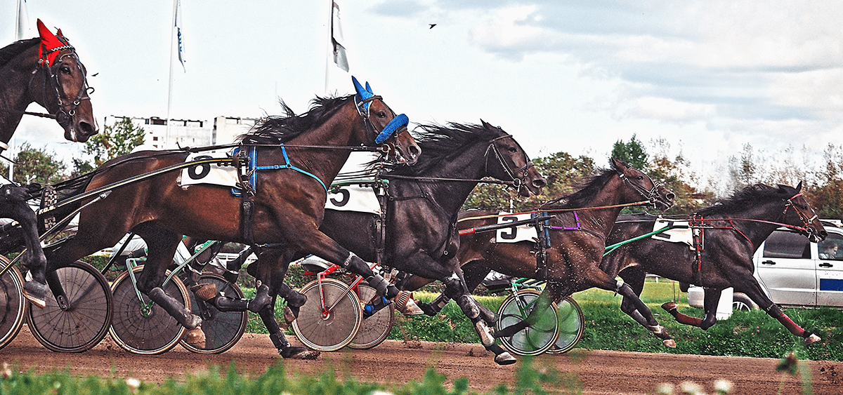 Superlördag på Solvalla med Travkriteriet